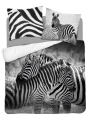 Pościel Bawełniana Zebra 160x200 Holland Natura 3817A