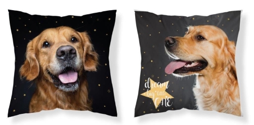 Poszewka 40x40 Labrador Mikrofibra  