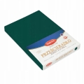  Prześcieradło Jersey z gumą 90/100x190/200 PREMIUM Zielone Butelkowe