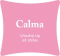 Kołdra 140x200 4 Pory Roku Antyalergiczna Calma Antystresowa z włóknem węglowym 
