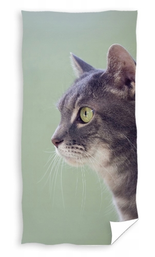 Ręcznik plażowy 70x140 Kotek szary