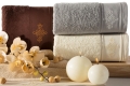 Ręcznik 50x90 Klas haftowany srebrny Premium bawełna 600gr    