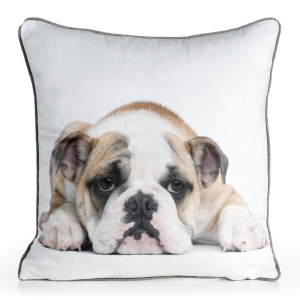 Poszewka 45x45 Animal pies buldog