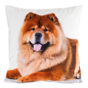 Poszewka 45x45 Animal pies  