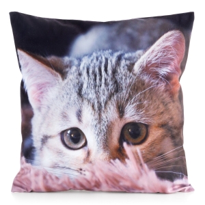 Poszewka 45x45 Animal kot