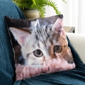 Poszewka 45x45 Animal kot