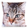 Poszewka 45x45 Animal kot 