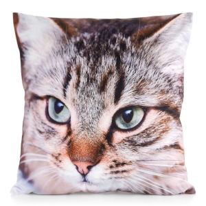 Poszewka 45x45 Animal kot 
