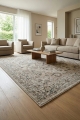 Dywan 60x100 Hawai 1 Ornament beżowy / kremowy