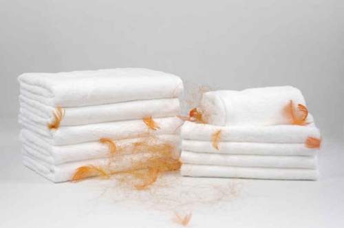 Ręcznik Cesar 50x100 Biały White hotel  600g  100% bawełna 
