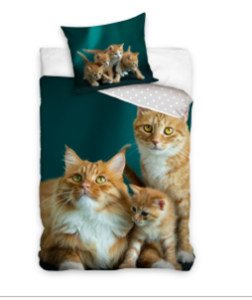Pościel bawełniana 140x200 Kotki Rude