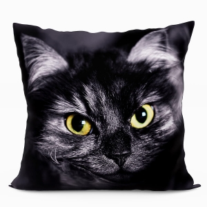 Poduszka 40x40 Dekoracyjna Kot Czarny