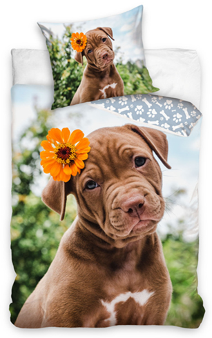 Pościel Bawełniana 140x200 Labrador Piesek 
