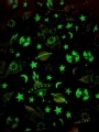 Koc Świecący w ciemności 150x200  Rakiety w Kosmosie Fluo