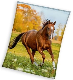 Koc Polarowy Narzuta 150x200 KOŃ NA ŁĄCE